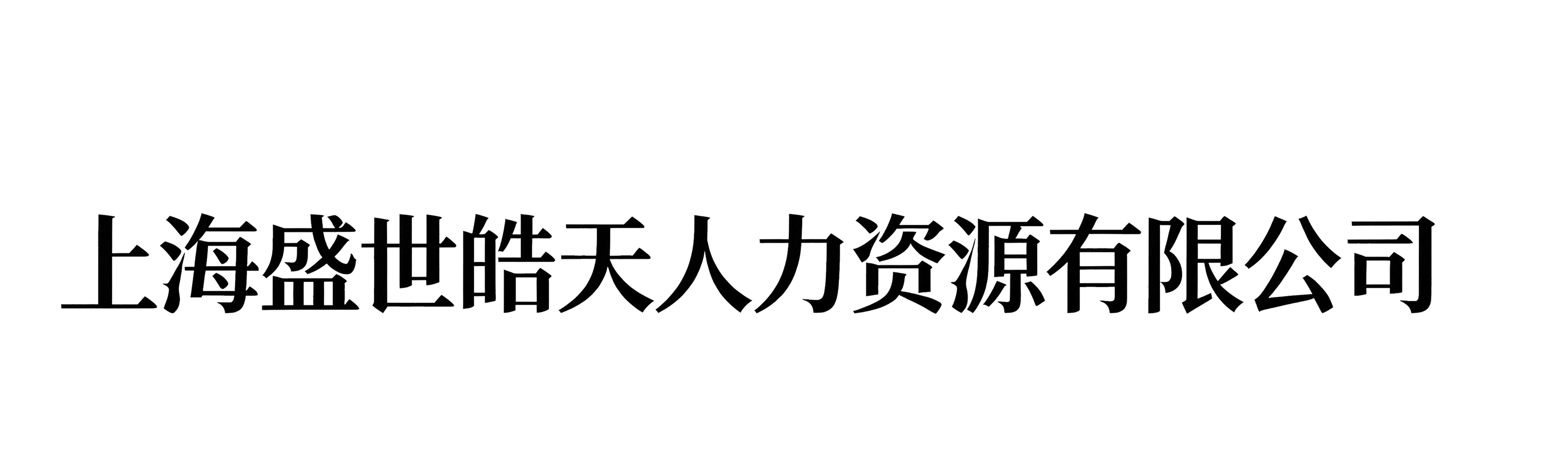 上海盛世皓天人力资源有限公司